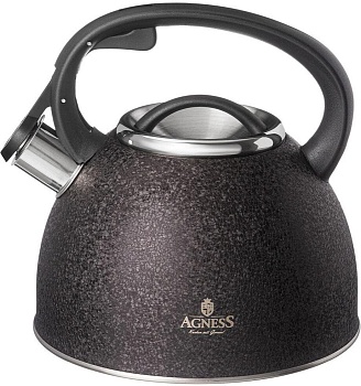 Чайник AGNESS 907-251 BLACK индуция 2,5л